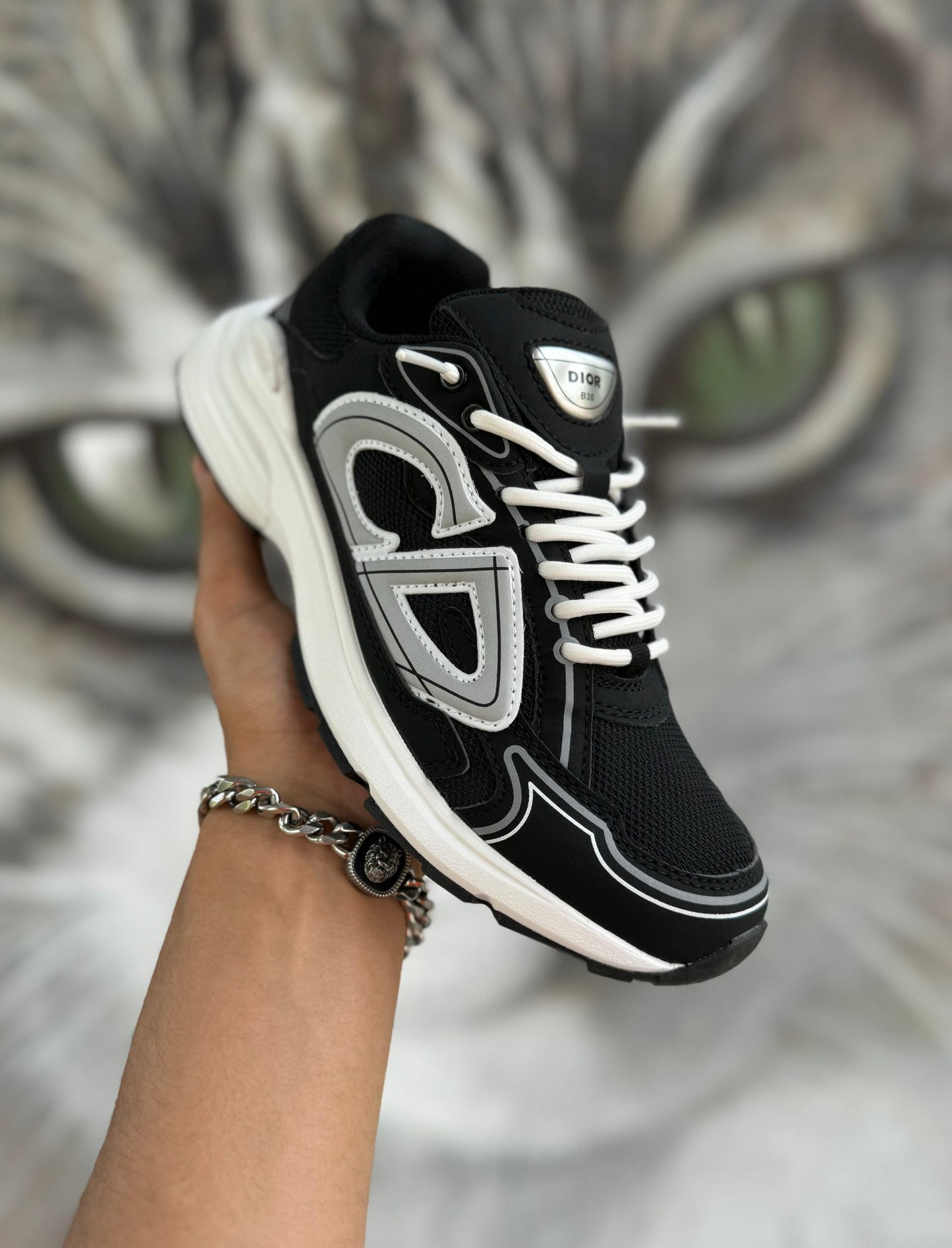 Dior B30