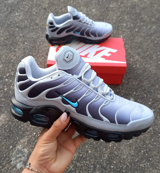 Nike TN Air Blanco y Azul