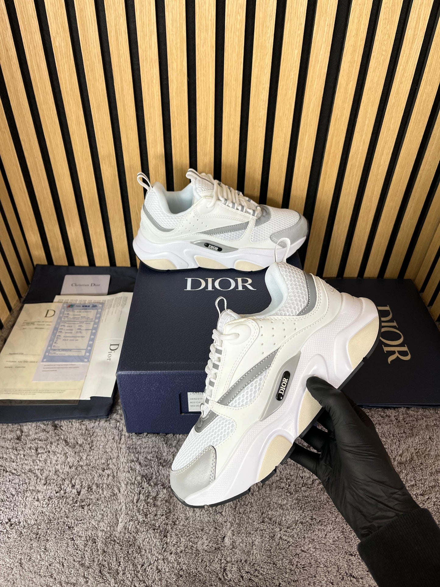 Dior B22